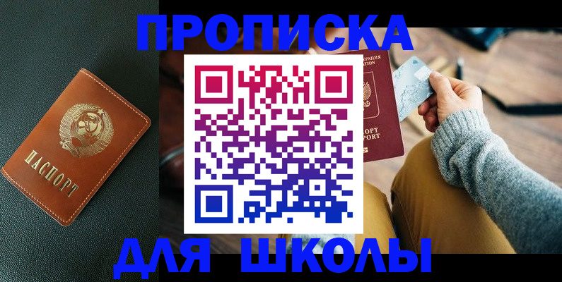 временная прописка в Димитровграде